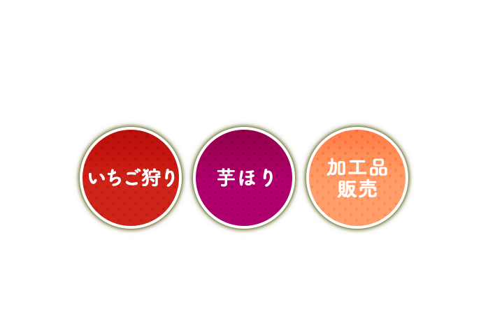 いちご狩り 芋ほり いちじく
狩り 加工品販売