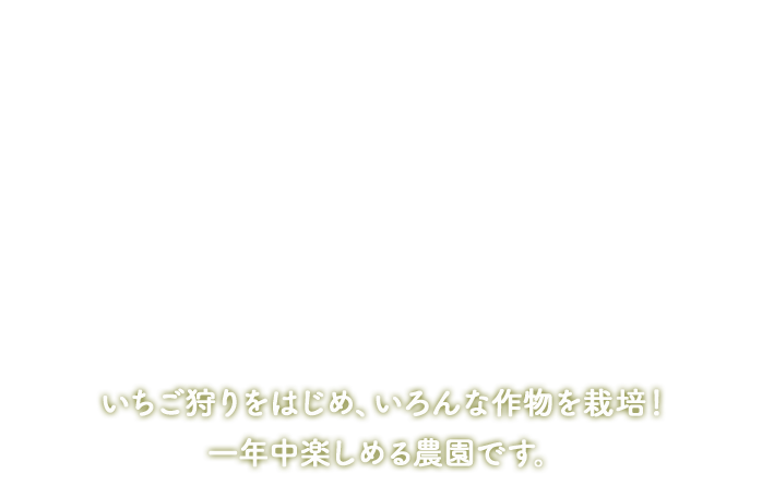 いちご狩りをはじめ、いろんな作物を栽培！一年中楽しめる農園です。