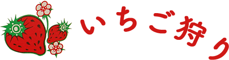 いちご狩り